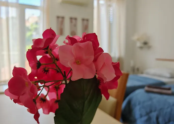 公寓 ***apartment Magic &summervibes*** *