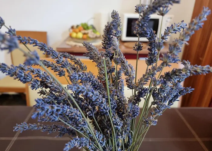 ***apartment Magic &summervibes*** * 里耶卡