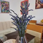***apartment Magic &summervibes***