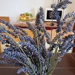 ***apartment Magic &summervibes*** * Ριέκα