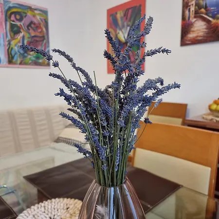 ***apartment Magic &summervibes***