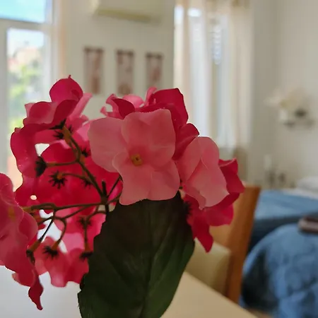 Apartman ***apartment Magic &summervibes*** *